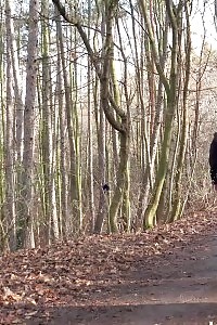 Licky Lex relieves herself on street path