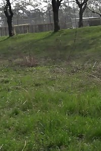 Light-haired princess Claudia squats to piss in suburbs