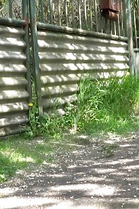 Darling with tattoes pisses on an outdoor path
