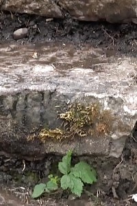 Black-haired pisses outside on some steps