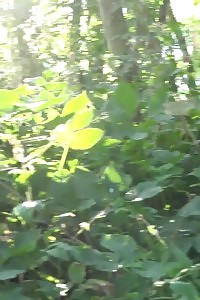 ass is on full peek in this public pissing scene