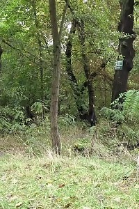 Black-haired makes a splash as she pisses outside