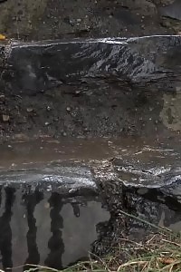 Bare twat is on show in this public pissing scene