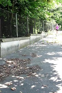 Mindblowing dark haired hooker pisses outside
