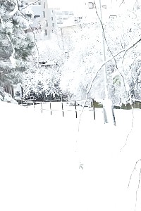 Black haired European relieves herself in public