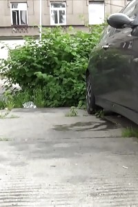 Brunette queen pissing next to a busy road outside
