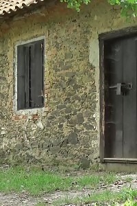 Outstanding brunette with long hair pissing in the forest