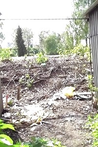Nice-looking brunette leaves a puddle of pee in the soil