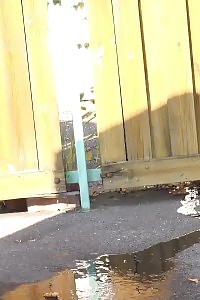 Dark haired stunner leaves a pee puddle public