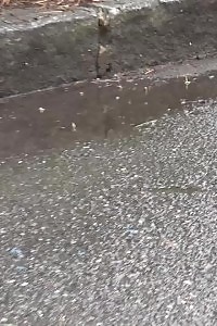 Blonde squats to pee next to a parked car