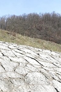 Antonia Sainz pisses down stone steps