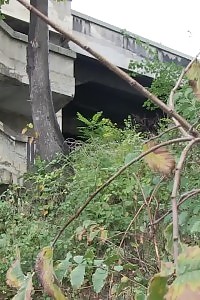 Brunette bitch pisses next to a flowing river